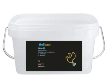 Aviform PROLYTE Probiotic Post Race Restorative Supplement for Racing Pigeons
