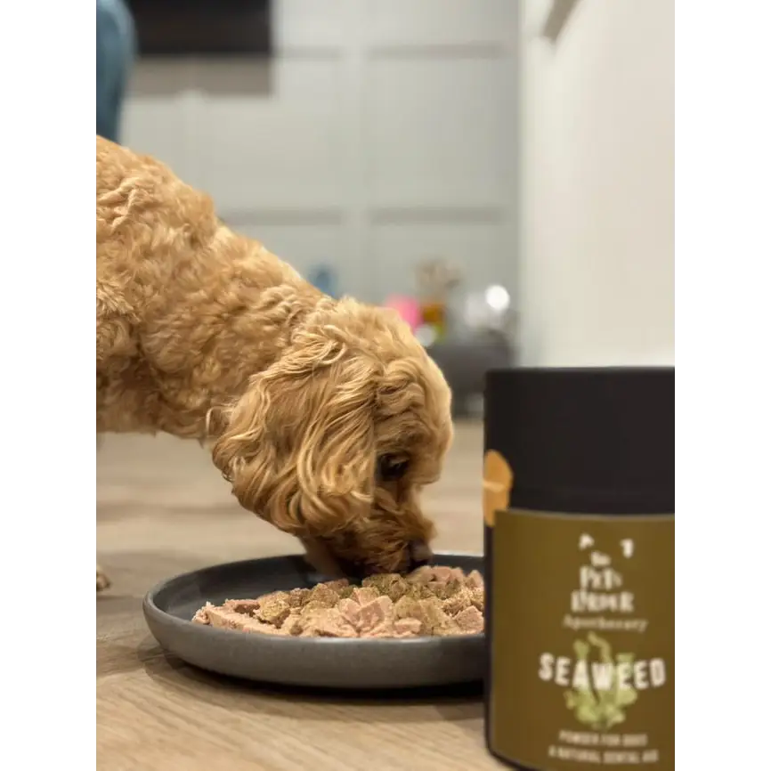 Dental Seaweed Powder for Dogs & Cats: Plaque Removal