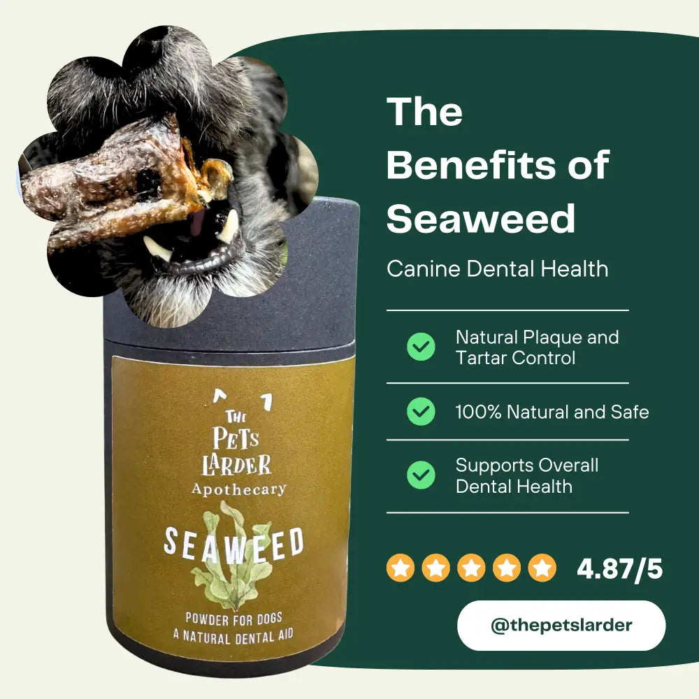 Dental Seaweed Powder for Dogs & Cats: Plaque Removal