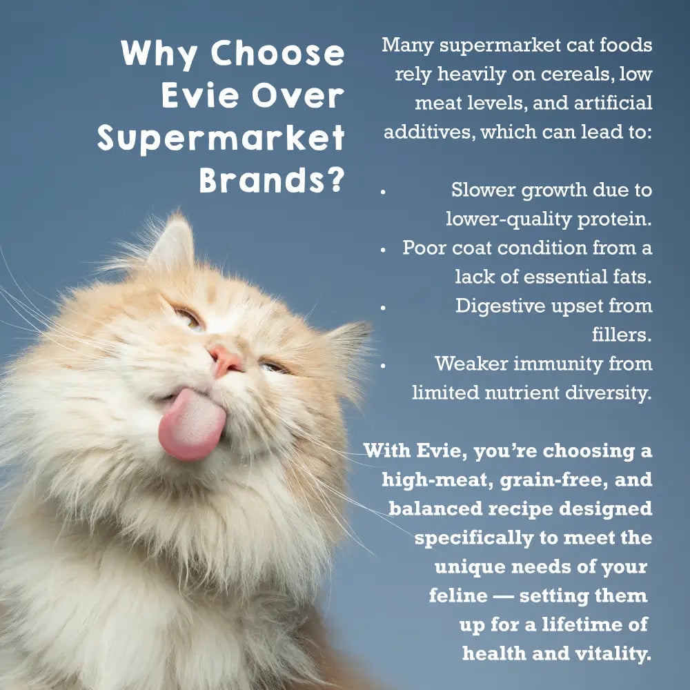 Evie Natural Dry Cat Food Turkey With Chicken