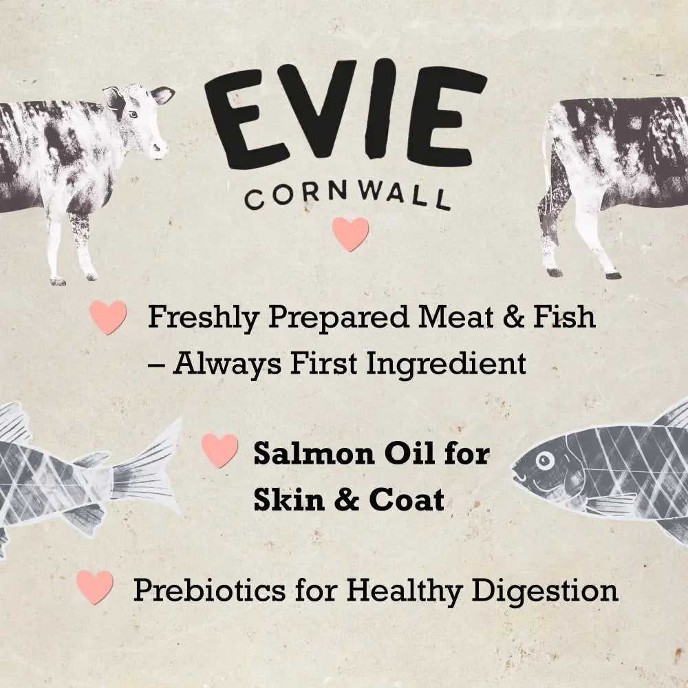 Evie Natural Dry Cat Food Turkey With Chicken