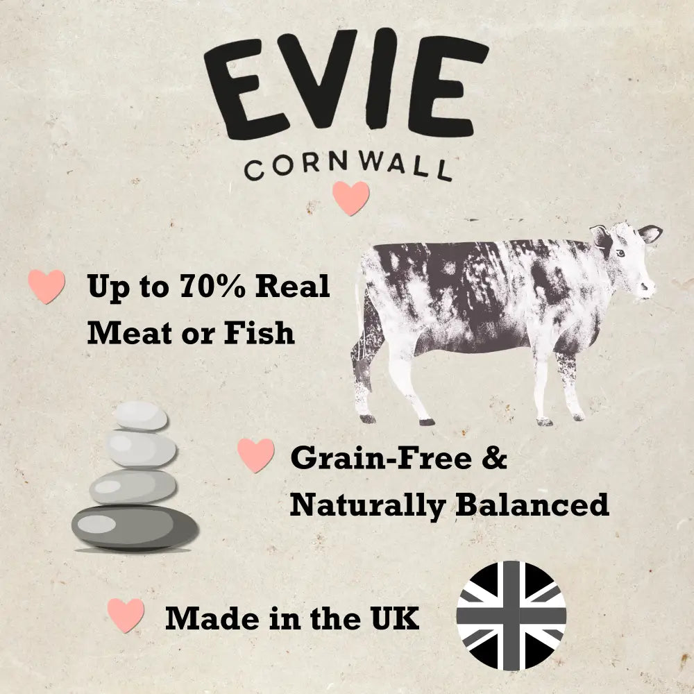 Evie Natural Dry Cat Food Turkey With Chicken